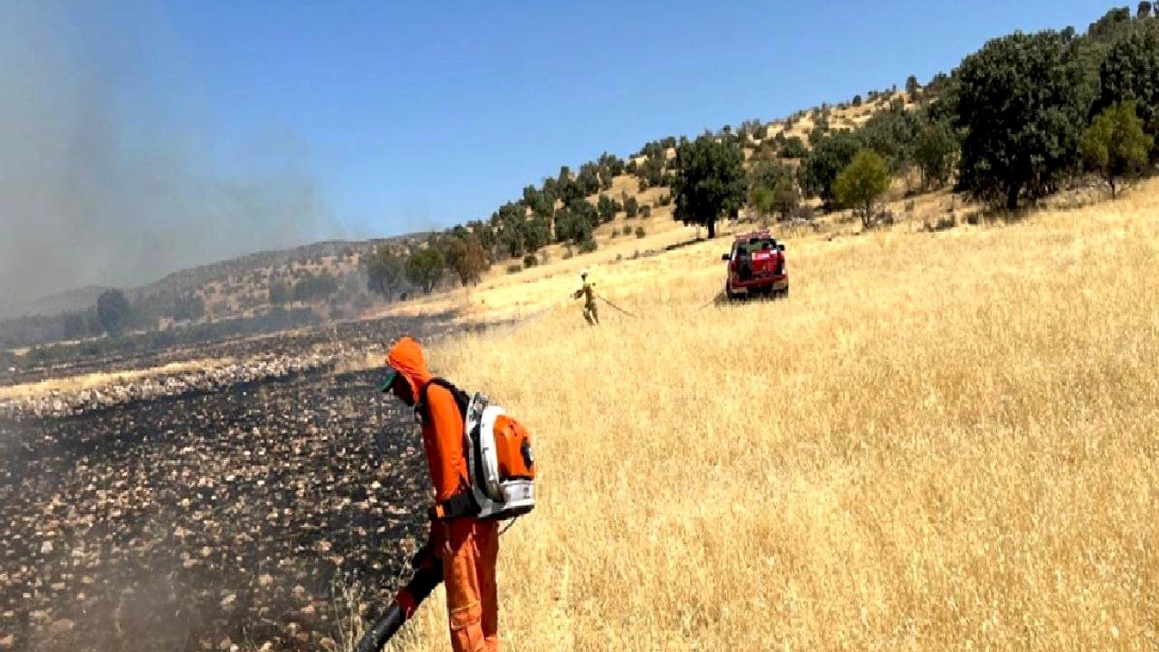 Mardin'de ormanlık alanda yangın paniği