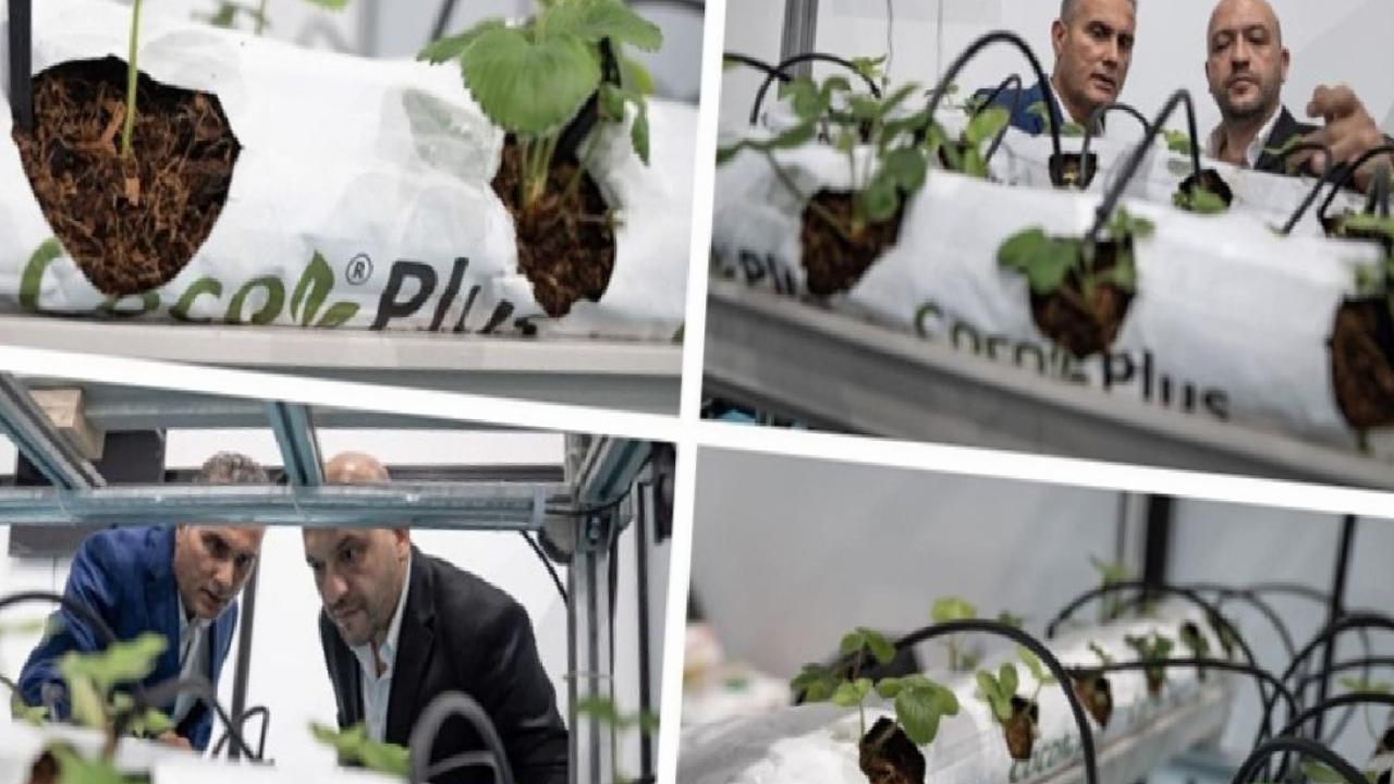 Mühendis kardeşlerden yenilikçi tarım çözümü