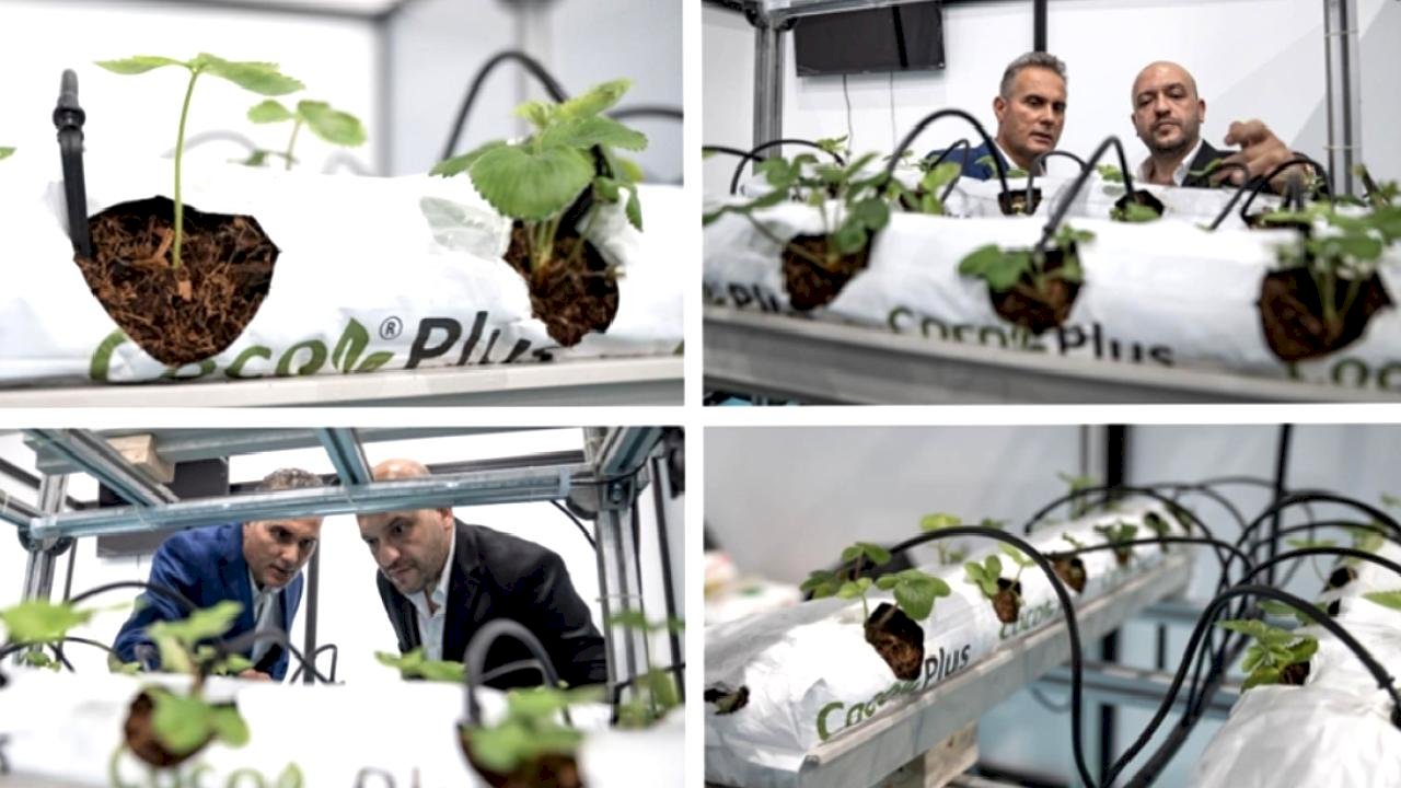 Mühendis kardeşlerden yenilikçi tarım çözümü