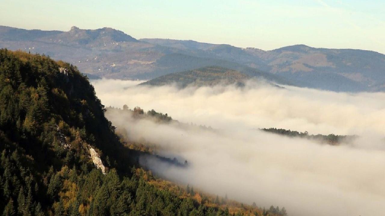 Türkiye’nin biyoçeşitlilik serveti: Doğanın kalbi 9 bölge