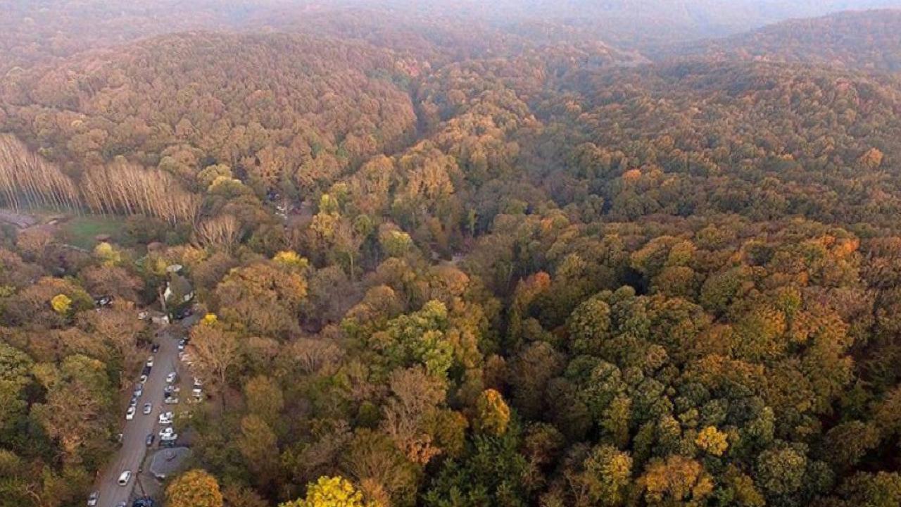 Türkiye’nin biyoçeşitlilik serveti: Doğanın kalbi 9 bölge