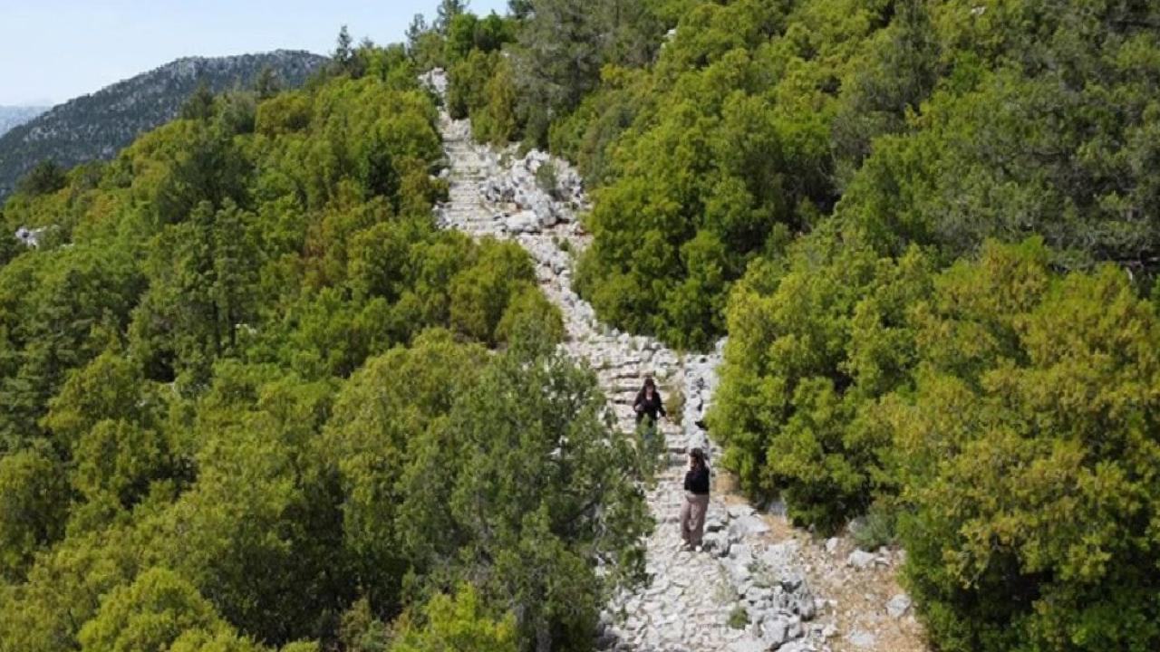 Türkiye’nin biyoçeşitlilik serveti: Doğanın kalbi 9 bölge