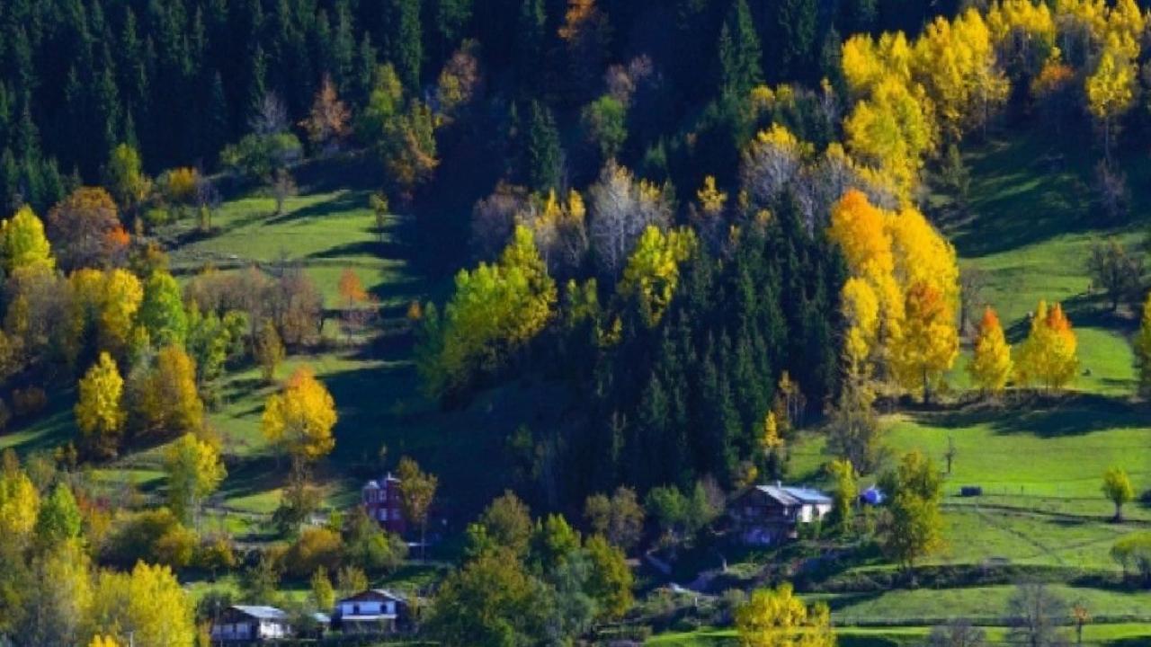 Türkiye’nin biyoçeşitlilik serveti: Doğanın kalbi 9 bölge