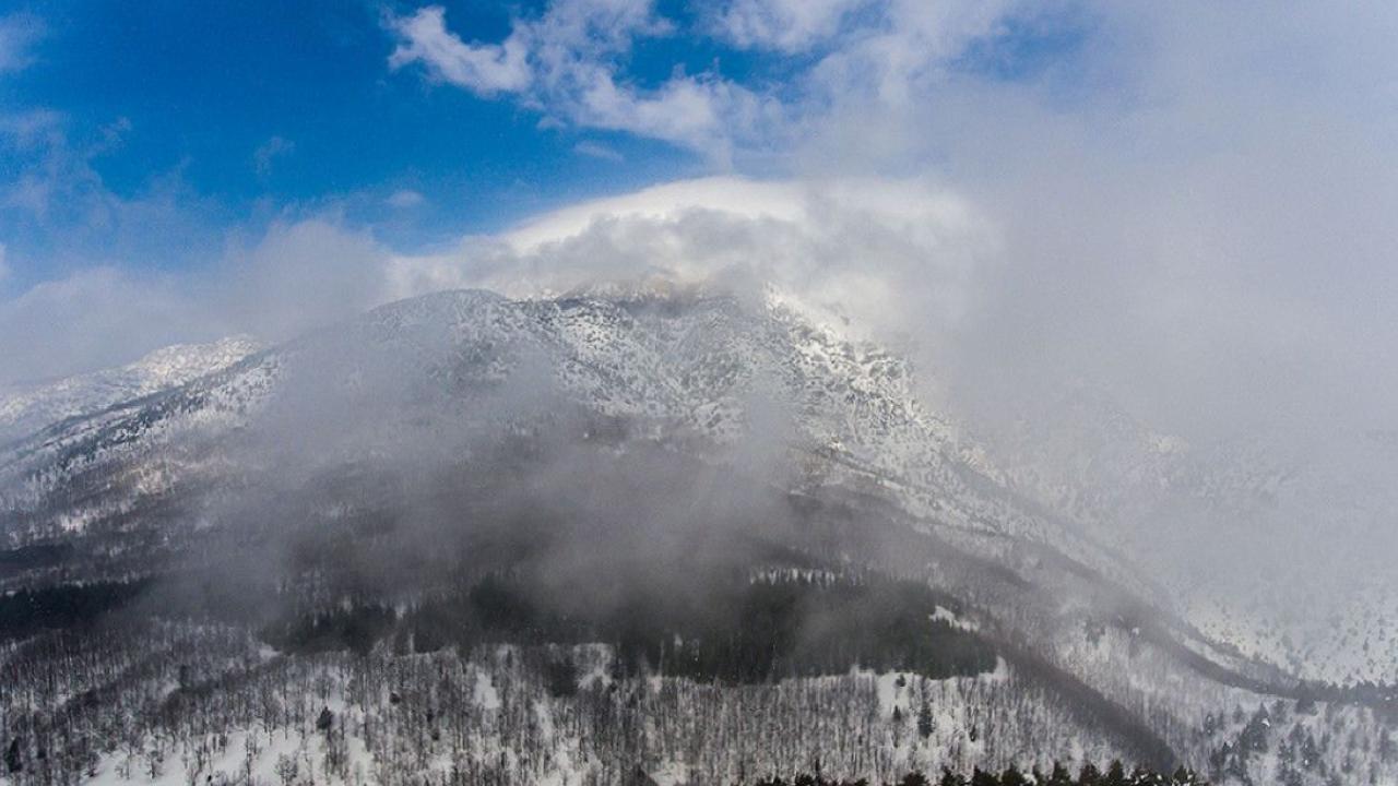 Türkiye’nin biyoçeşitlilik serveti: Doğanın kalbi 9 bölge