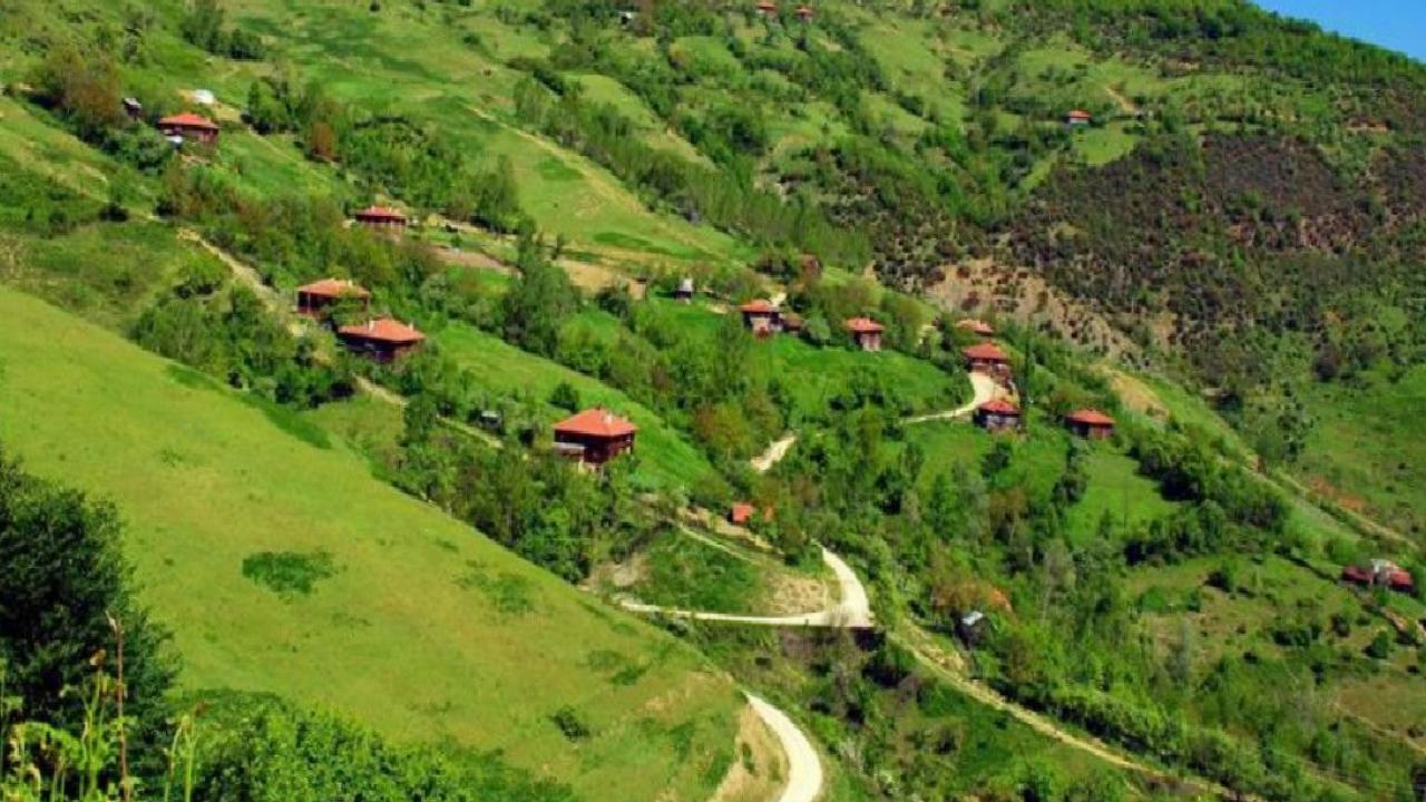 Türkiye’nin biyoçeşitlilik serveti: Doğanın kalbi 9 bölge