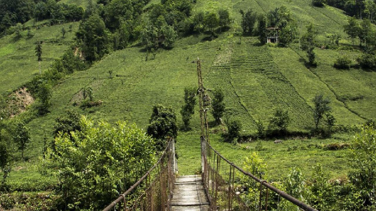 Türkiye’nin biyoçeşitlilik serveti: Doğanın kalbi 9 bölge