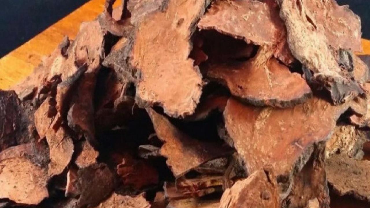 Uzun ömürle ilgisi var: Fo-Ti bitkisi