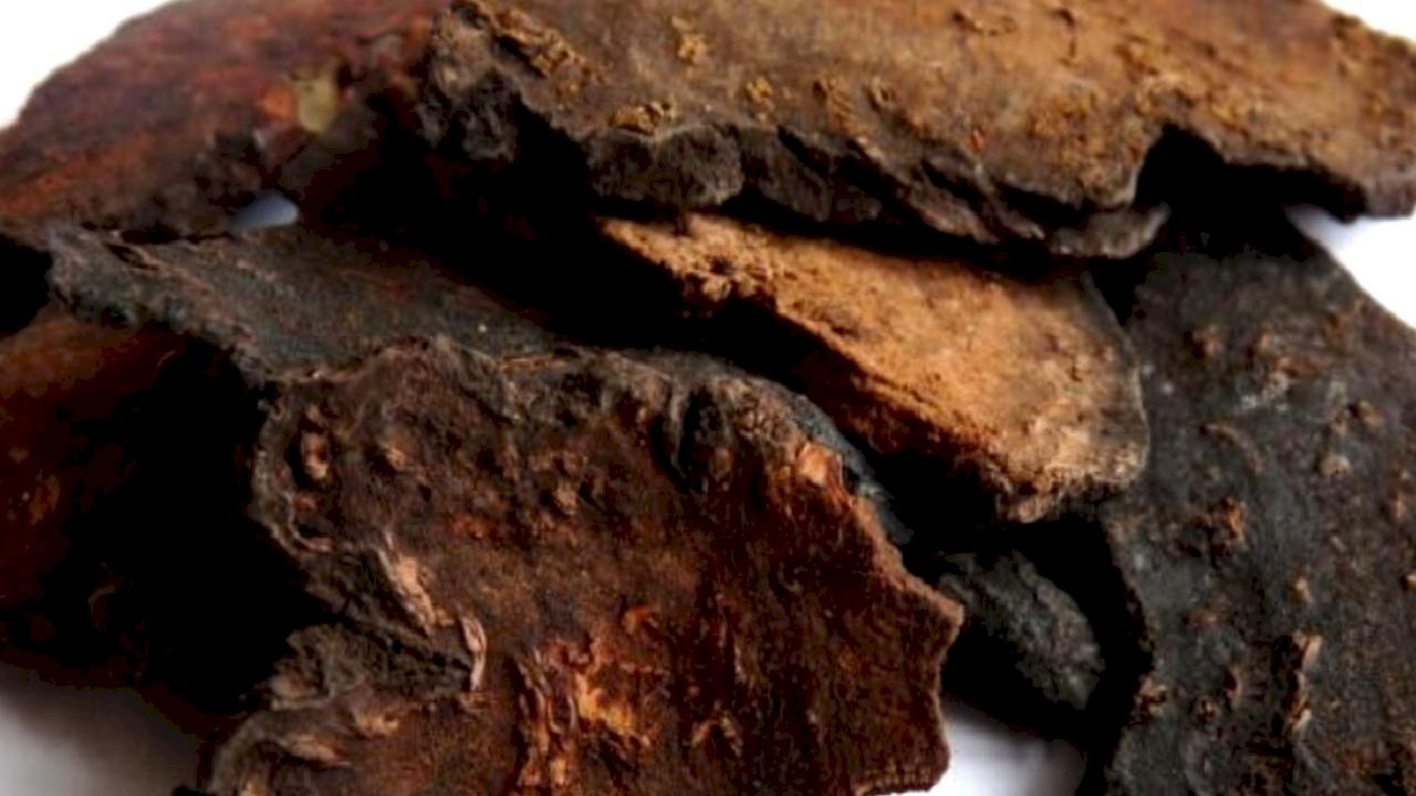 Uzun ömürle ilgisi var: Fo-Ti bitkisi