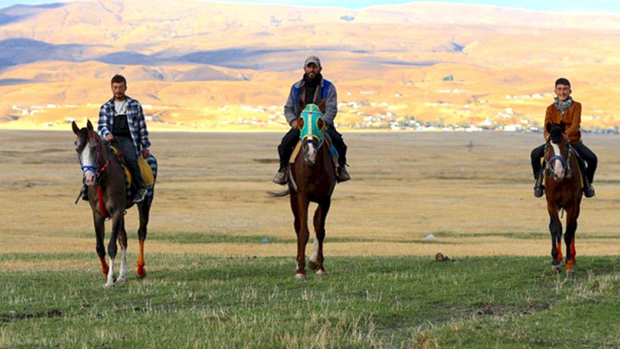 Bingöl&#039;de at yetiştiriciliği kültürel miras olarak yaşatılıyor