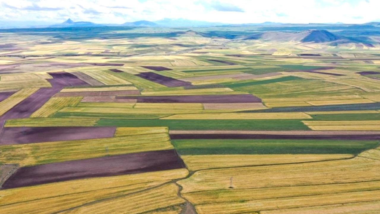 Arsa, tarla ve bahçeyi birbirinden ayıran 8 temel özellik