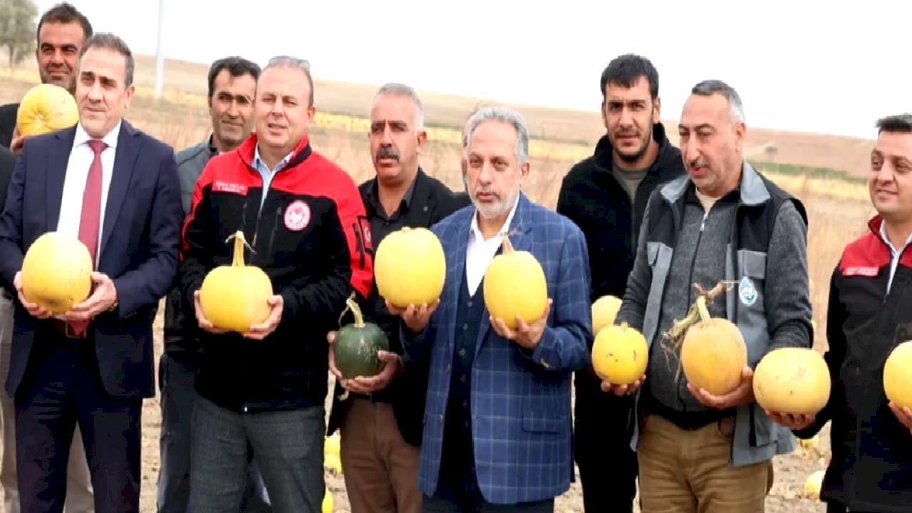 Birinci olan Kayseri Talaslı çiftçiye Başkan Yalçın&#039;dan tebrik