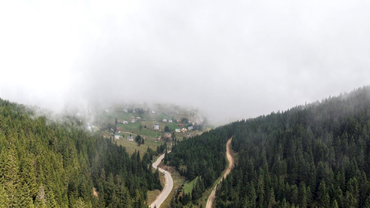 Doğu Karadeniz için heyelan uyarısı: Ağaçlandırma şart