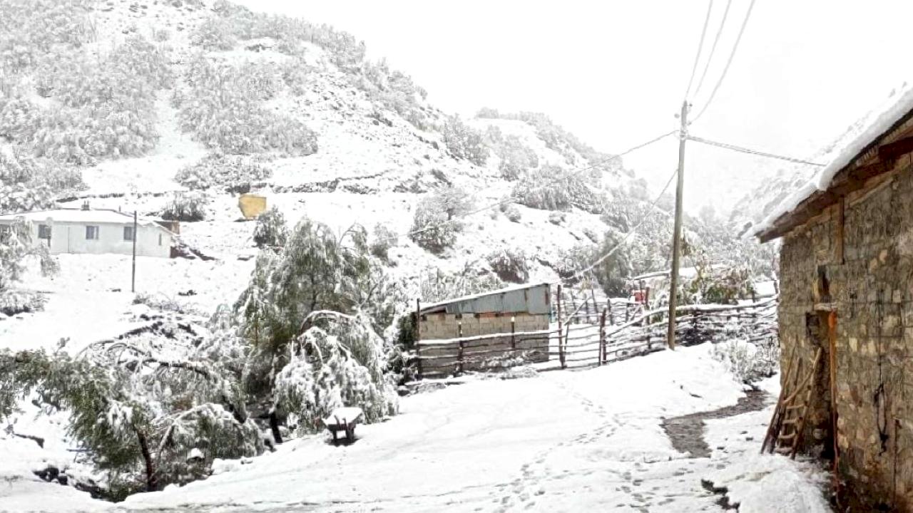 Erzincan&#039;da hasadı yapılmayan ceviz kar altında kaldı