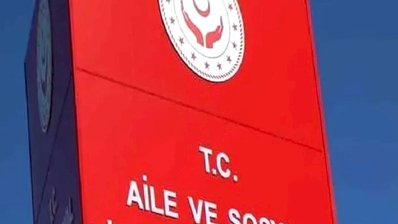 İzmir&#039;de ormanda yaşayan aile otele yerleştirildi!