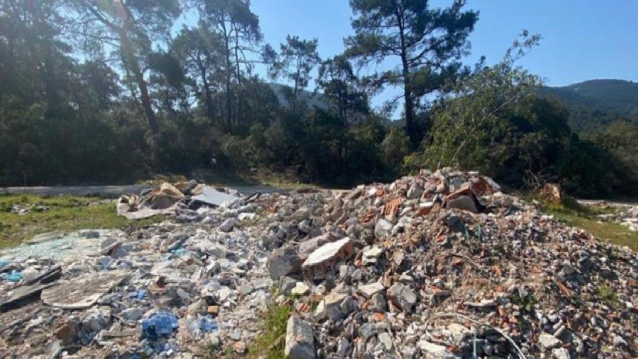 Almanya'da çevre kirliliğiyle mücadelede rekor cezalar: İzmarite 3 bin euro, moloza 100 bin euro