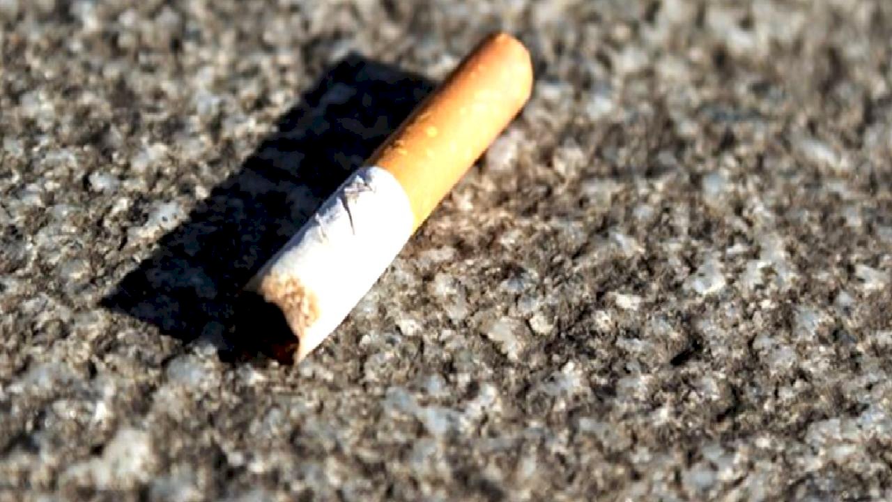 Almanya'da çevre kirliliğiyle mücadelede rekor cezalar: İzmarite 3 bin euro, moloza 100 bin euro