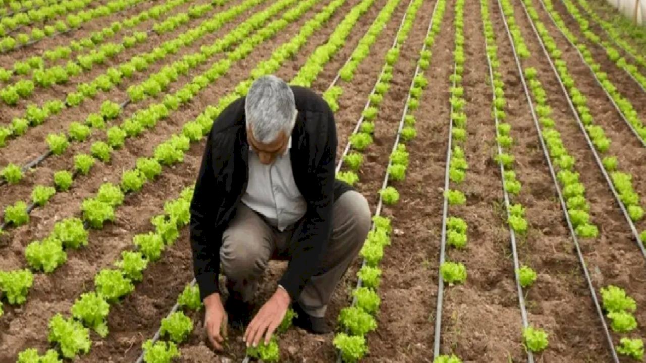Balıkesir Büyükşehir&#039;den üreticilere tam destek