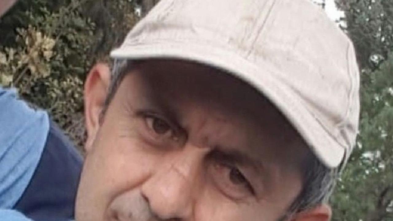 Bolu'da kestiği ağacın altında kalan vatandaş öldü