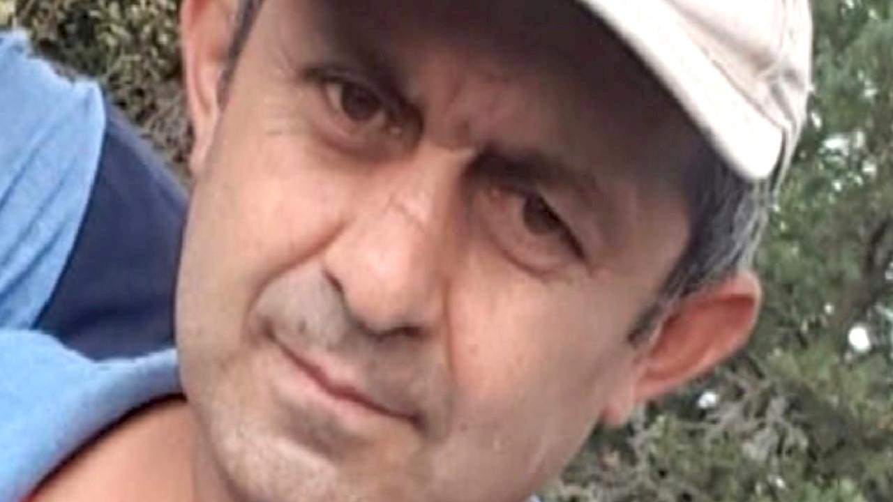 Bolu'da kestiği ağacın altında kalan vatandaş öldü