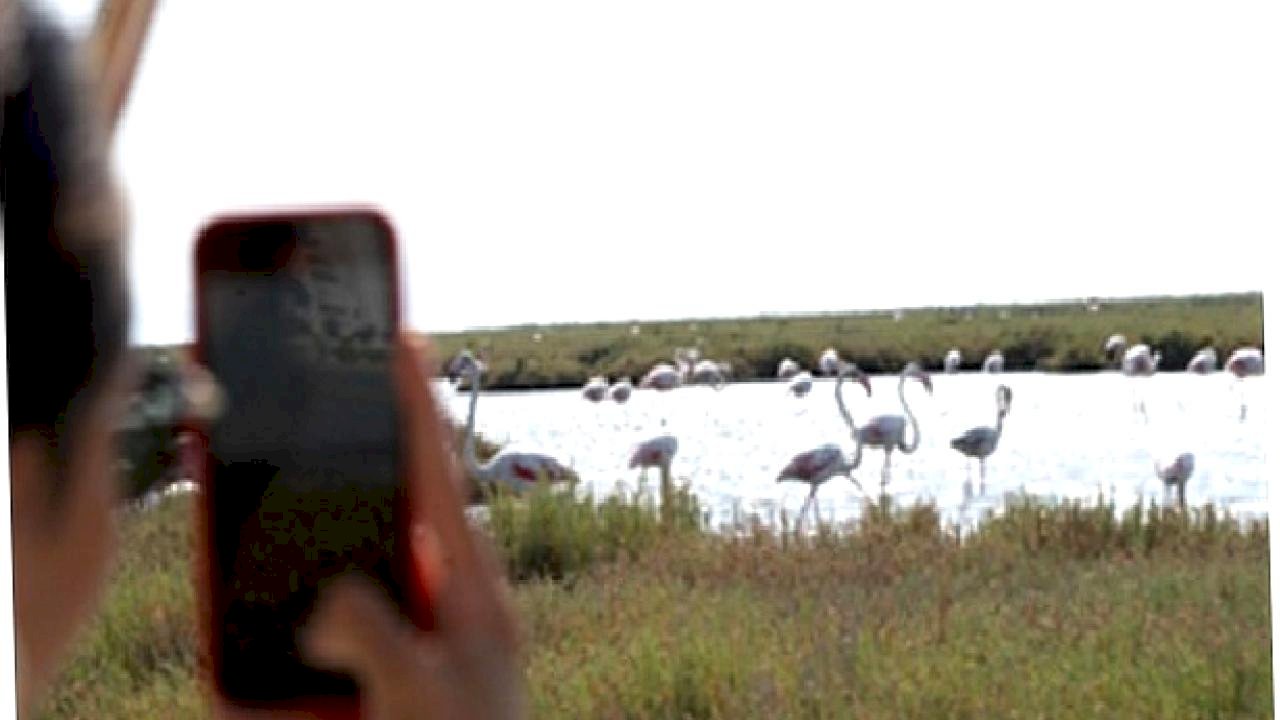 Doğa ve lezzet tutkunları bu turları çok sevecek