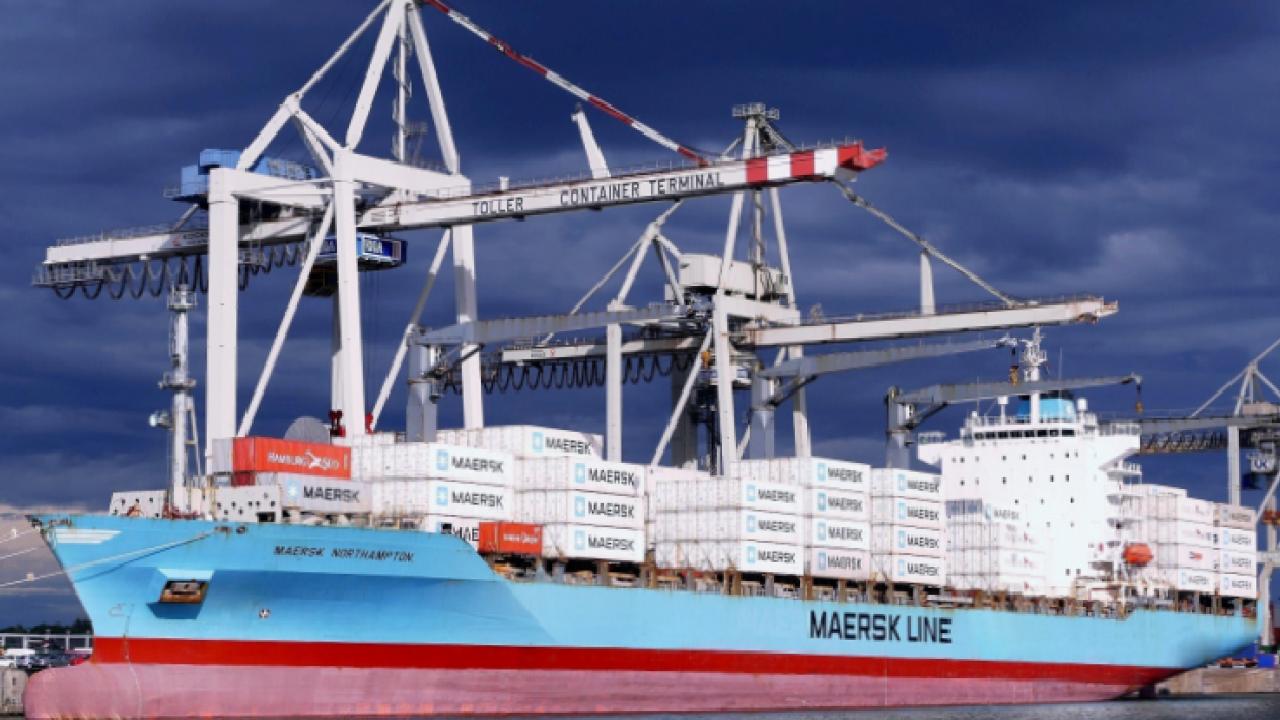 Dünya devinden Türkiye filosuna iki dev konteyner gemisi