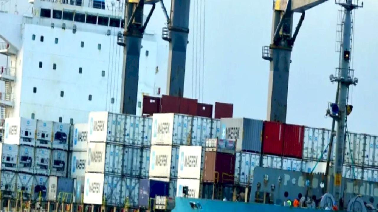 Dünya devinden Türkiye filosuna iki dev konteyner gemisi