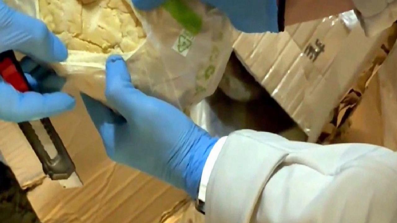 Edirne'de sınır kapısında tırdan 66 kilo uyuşturucu hammaddesi ele geçirildi