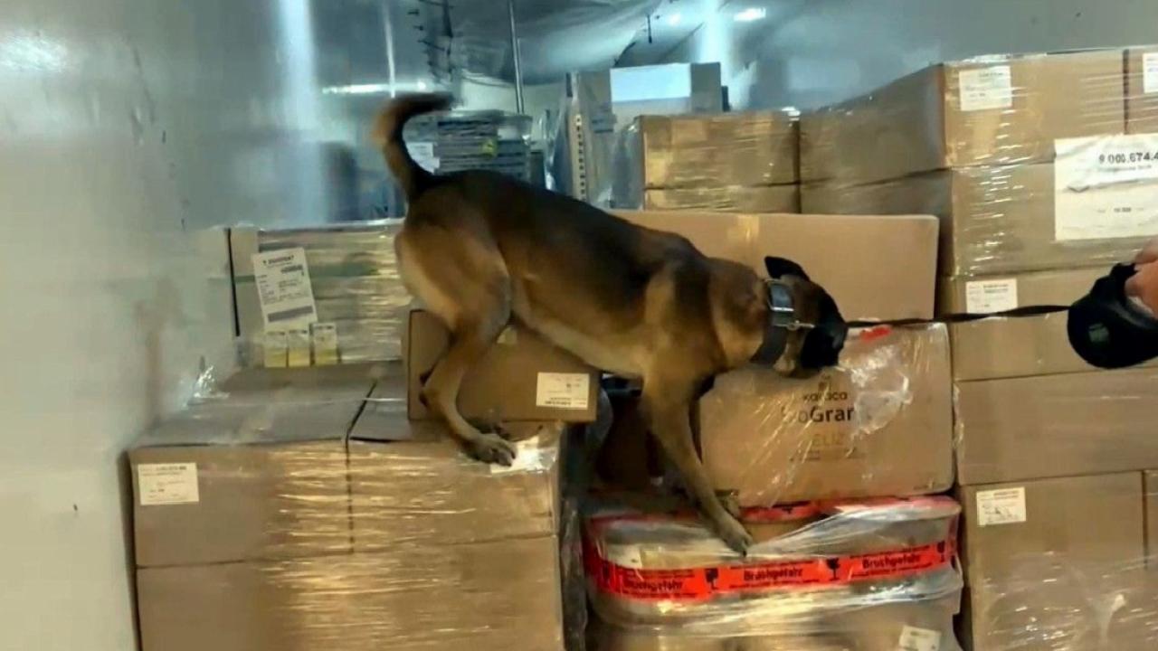 Edirne'de sınır kapısında tırdan 66 kilo uyuşturucu hammaddesi ele geçirildi