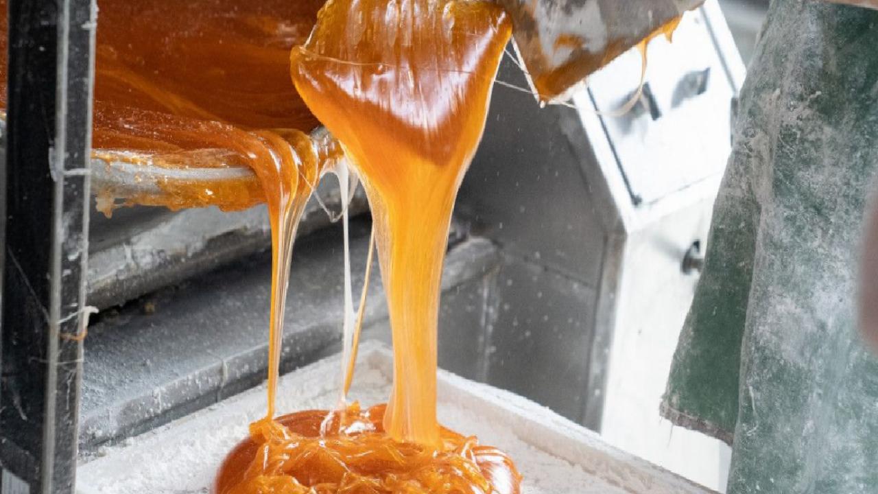 Ege bölgesine şekercilik ihracatından 2,3 milyar dolar döviz girdisi