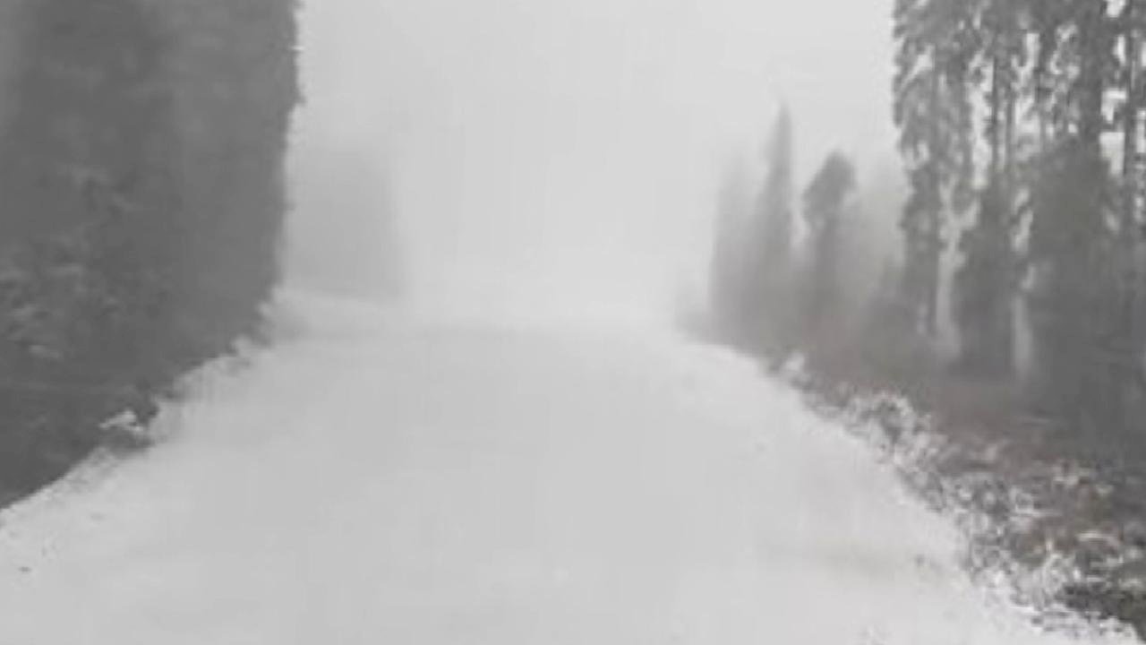 Ilgaz Dağı bembeyaz