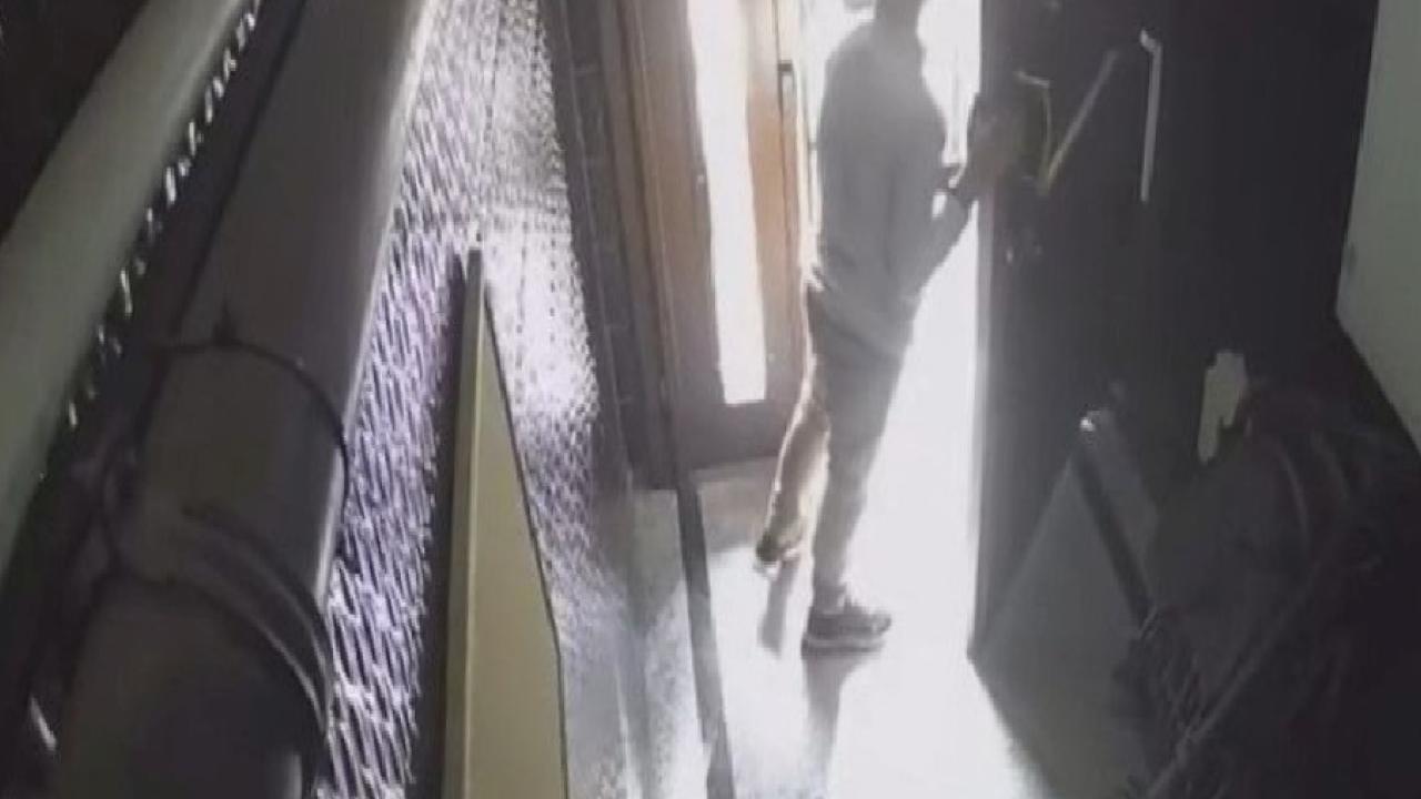 İstanbul'da elektrikli skuter hırsızlığı kamerada