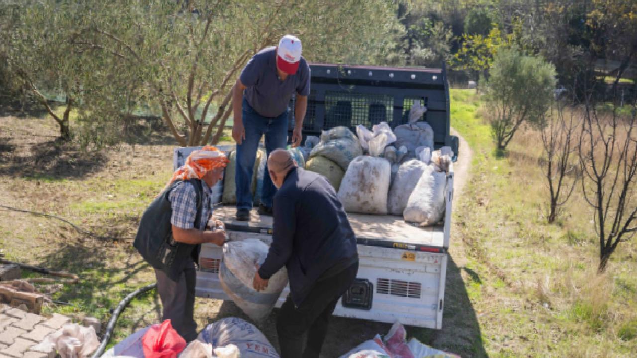 İzmir Bornova'da zeytin dalından sofraya ücretsiz ulaşım