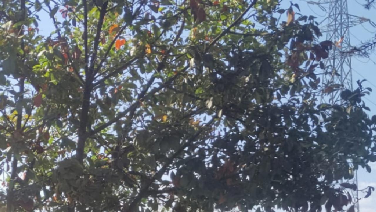 İzmit'ten Kocaeli Büyükşehir'e fotoğraflı sert çıkış: İzmit sokakları Büyükşehir'in atık sahası değil!