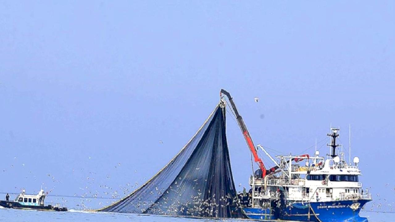 Karadeniz'de su sıcaklığı düşmeyince hamsi uzaklaştı