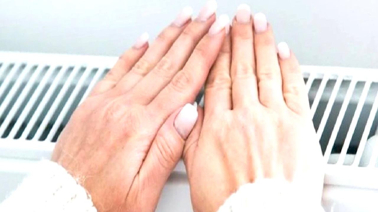 Norveçliler kışın böyle ısınıyor: Ne doğalgaz, ne elektrik…