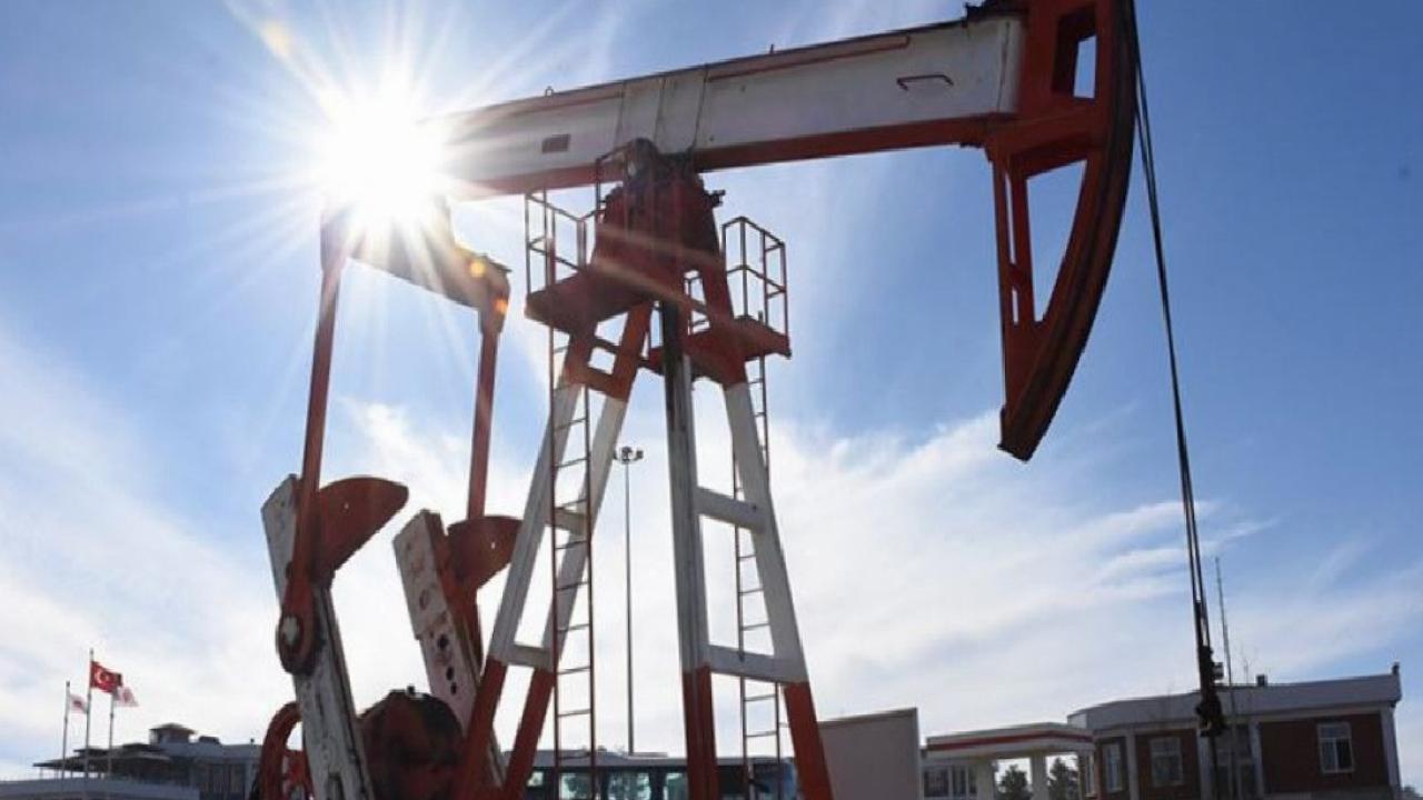 Petrol devlerinin 10 aylık dönemindeki kârı azaldı