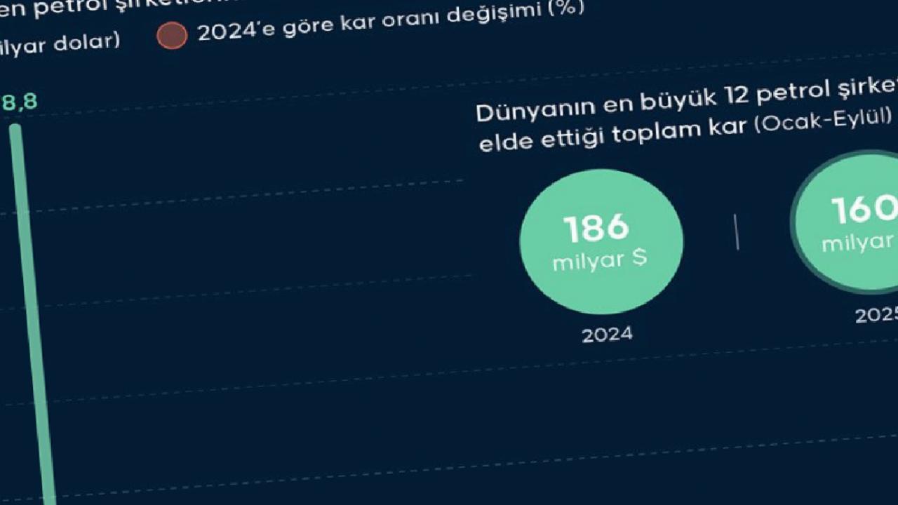 Petrol devlerinin 10 aylık dönemindeki kârı azaldı