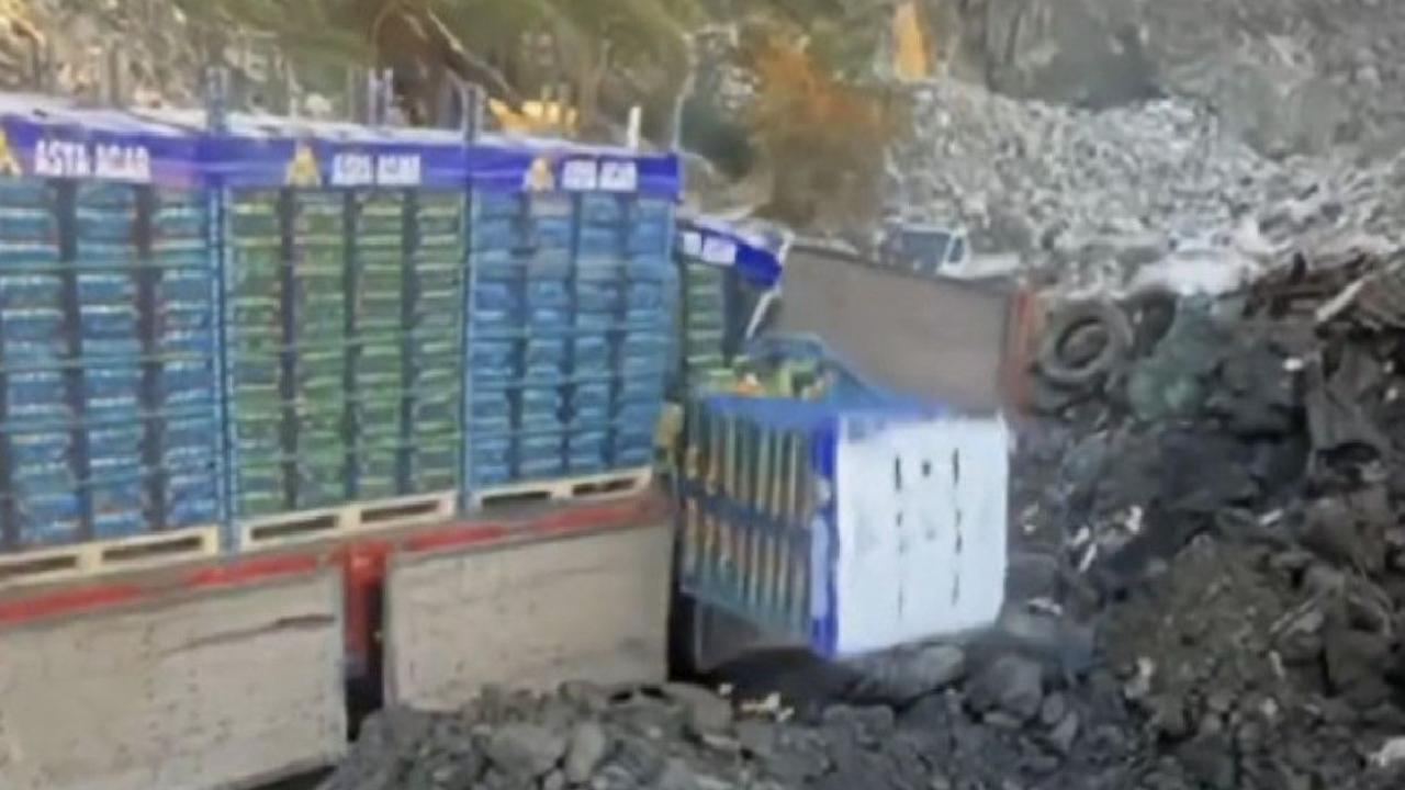 Sarp Sınır Kapısı’nda 6 ton mandalina imha edildi