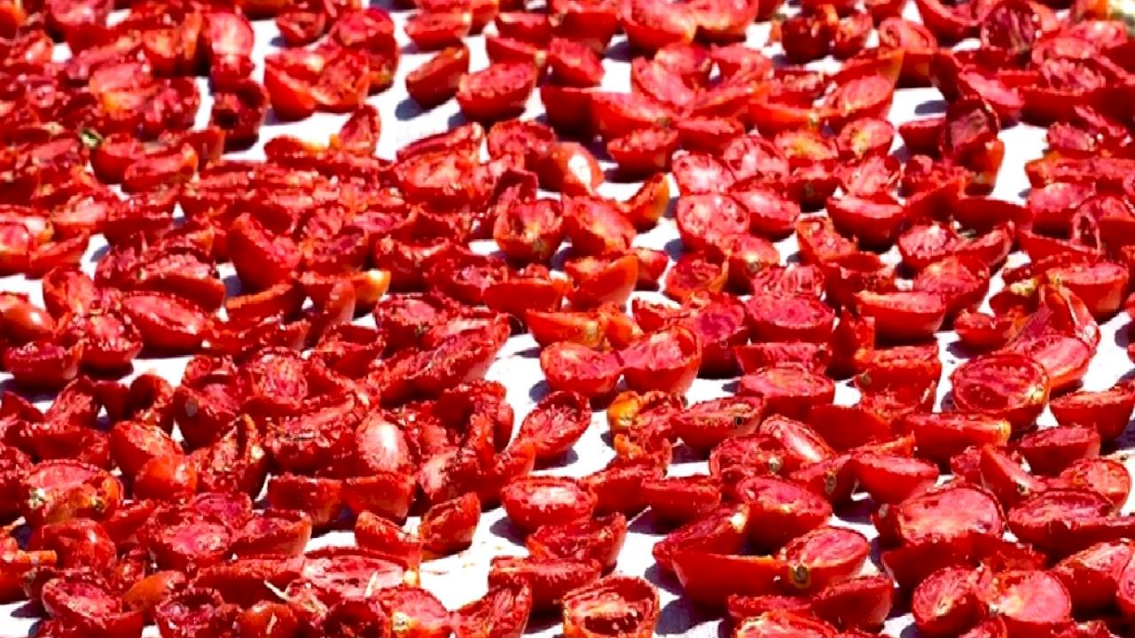 Şifa deposu kuru domates ihracatta dünya ikincisi