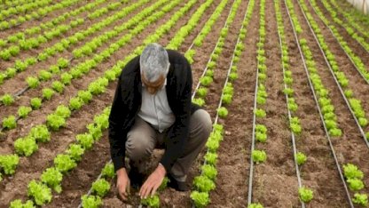 Balıkesir Büyükşehir'den üreticilere tam destek