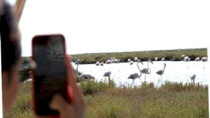 Doğa ve lezzet tutkunları bu turları çok sevecek