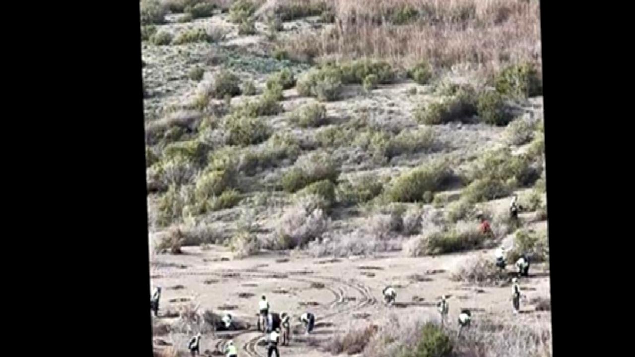 Ağyatan Lagünü&#039;ne 100 bin yeni ağaç: Ekosistem koruma çalışmaları