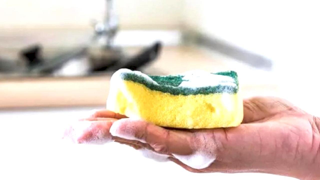 Amerikalılar asla bulaşık süngeri kullanmıyor: İşte sebebi