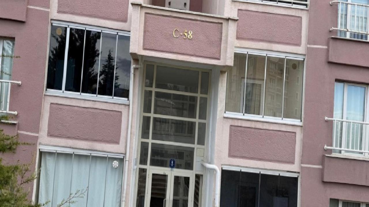 Ankara'da iki çocuğu yaralayan pitbull ve sahibi yakalandı