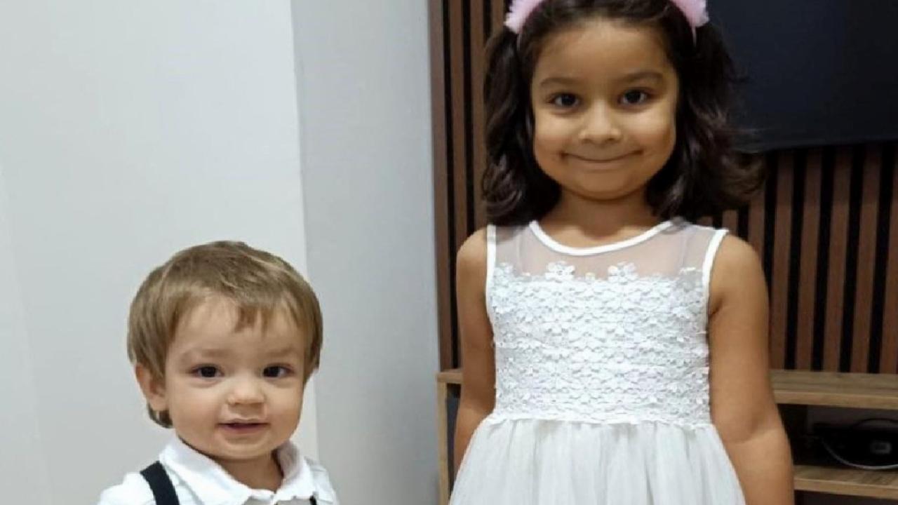 Ankara'da iki çocuğu yaralayan pitbull ve sahibi yakalandı