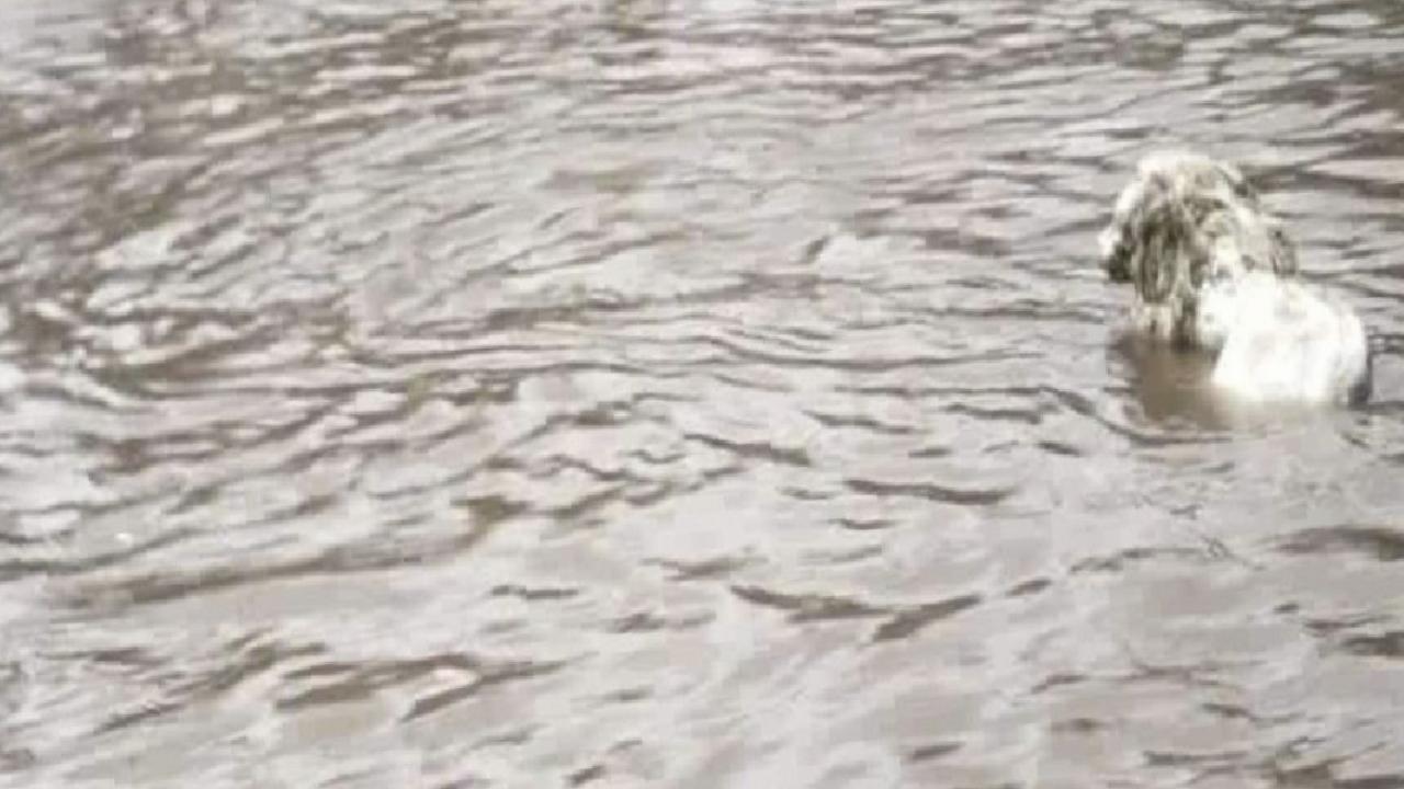 Antalya'yı sağanak vurdu