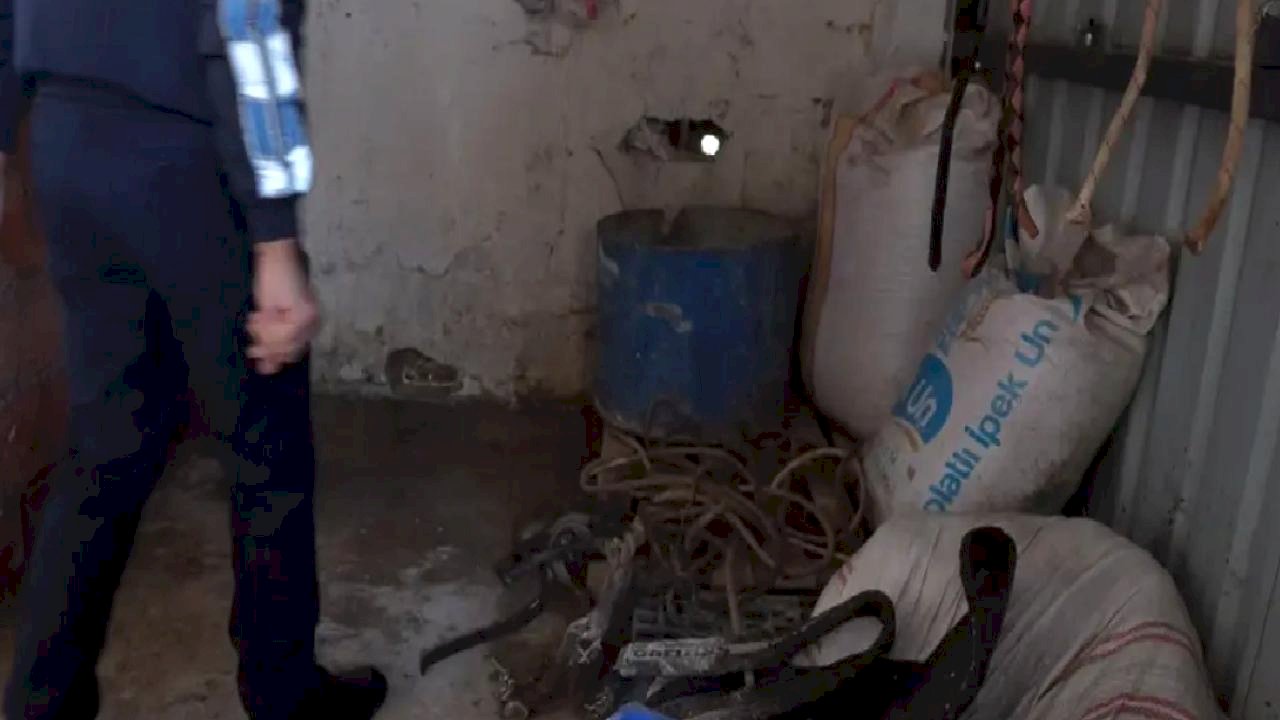 Ataşehir&#039;de Kaçak At Kesimi Operasyonu