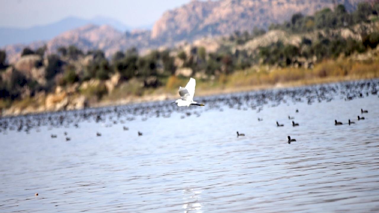 Bafa Gölü&#039;nde doğal yaşam, yağışlarla yeniden canlanıyor