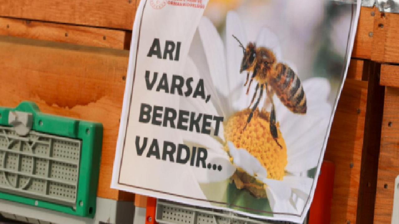 Bilecik’te Arıcılara Bin Yeni Kovan Teslim Edildi