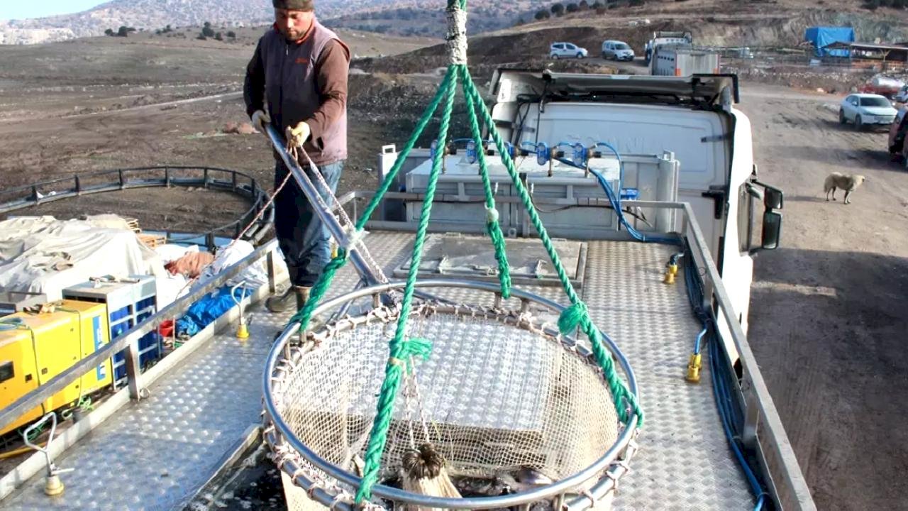 Bozkırın ortasında yetişti, Rusya ve Japonya yolcusu oldu